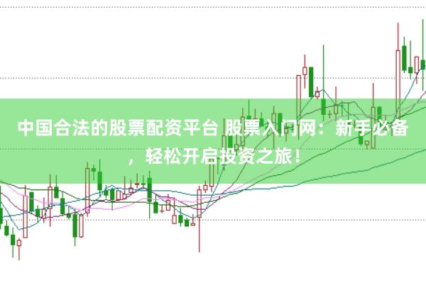 中国合法的股票配资平台 股票入门网：新手必备，轻松开启投资之旅！