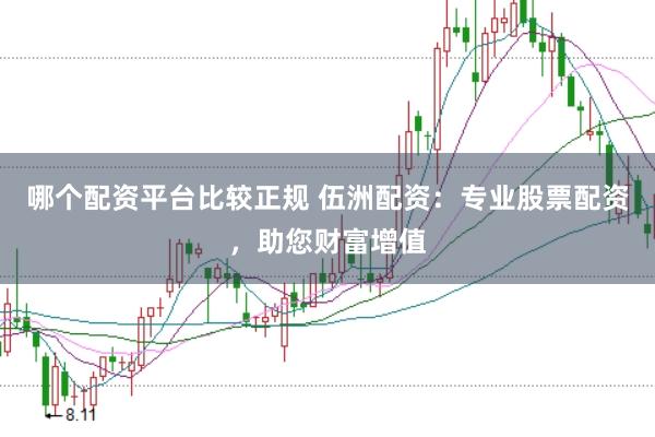 哪个配资平台比较正规 伍洲配资：专业股票配资，助您财富增值