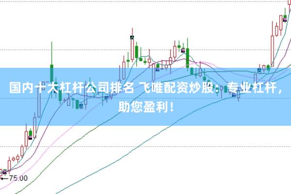 国内十大杠杆公司排名 飞唯配资炒股：专业杠杆，助您盈利！