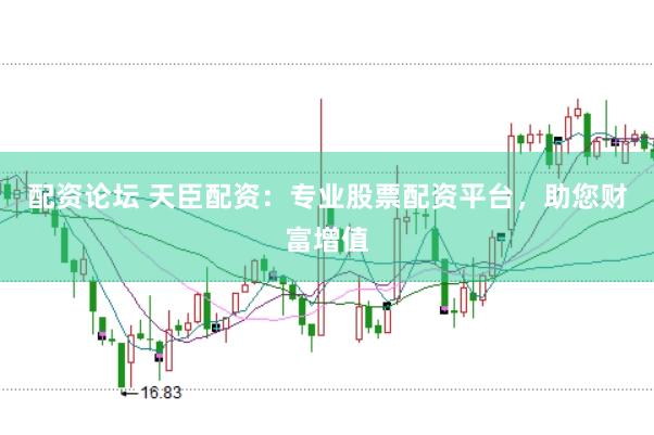 配资论坛 天臣配资：专业股票配资平台，助您财富增值