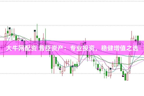 大牛网配资 普臣资产：专业投资，稳健增值之选