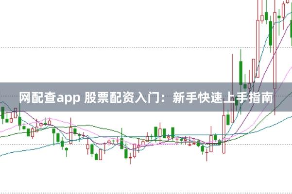 网配查app 股票配资入门：新手快速上手指南