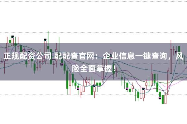 正规配资公司 配配查官网：企业信息一键查询，风险全面掌握！