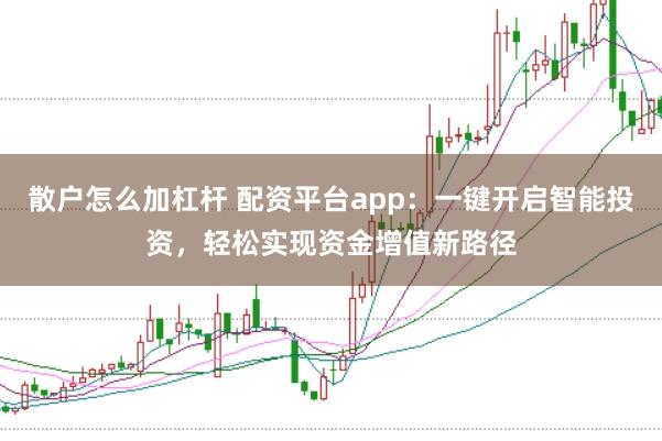 散户怎么加杠杆 配资平台app：一键开启智能投资，轻松实现资金增值新路径