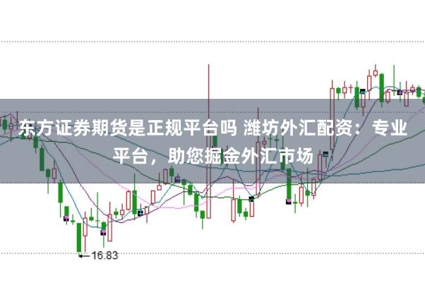 东方证券期货是正规平台吗 潍坊外汇配资：专业平台，助您掘金外汇市场