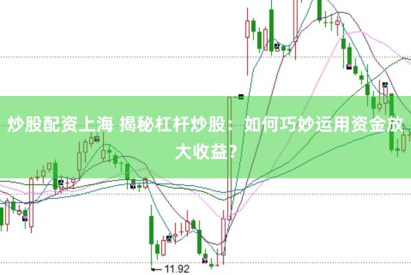 炒股配资上海 揭秘杠杆炒股：如何巧妙运用资金放大收益？
