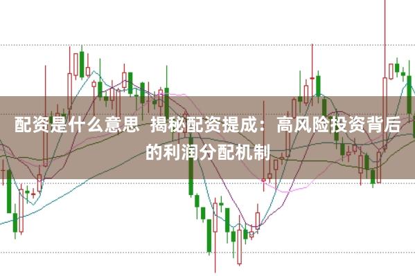 配资是什么意思  揭秘配资提成：高风险投资背后的利润分配机制