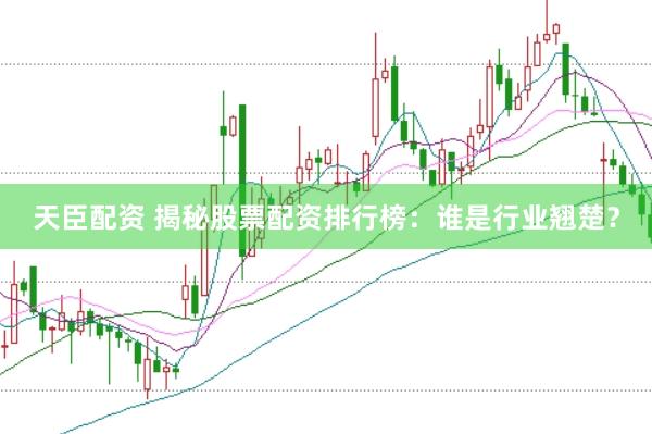 天臣配资 揭秘股票配资排行榜：谁是行业翘楚？