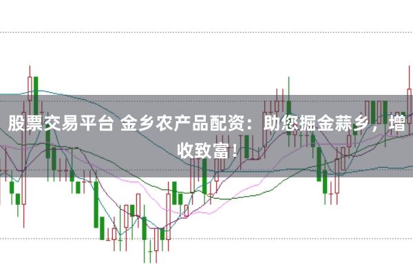 股票交易平台 金乡农产品配资：助您掘金蒜乡，增收致富！