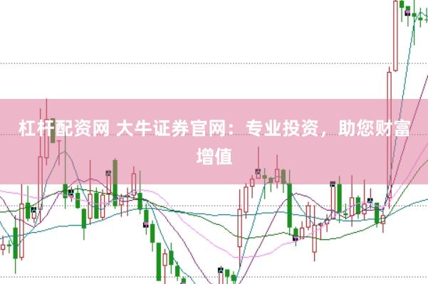 杠杆配资网 大牛证券官网：专业投资，助您财富增值