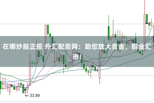 在哪炒股正规 外汇配资网：助您放大资金，掘金汇市！