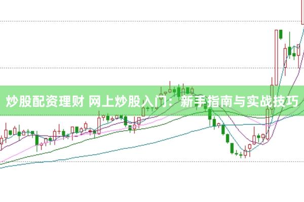 炒股配资理财 网上炒股入门：新手指南与实战技巧