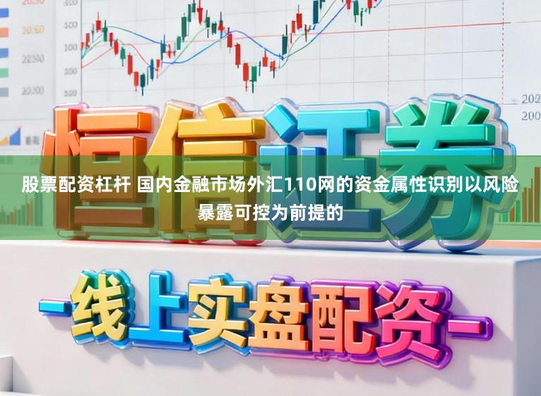 股票配资杠杆 国内金融市场外汇110网的资金属性识别以风险暴露可控为前提的