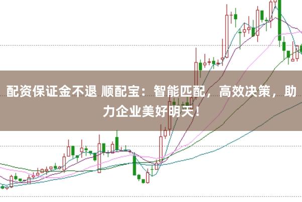 配资保证金不退 顺配宝:智能匹配,高效决策,助力企业美好明天!